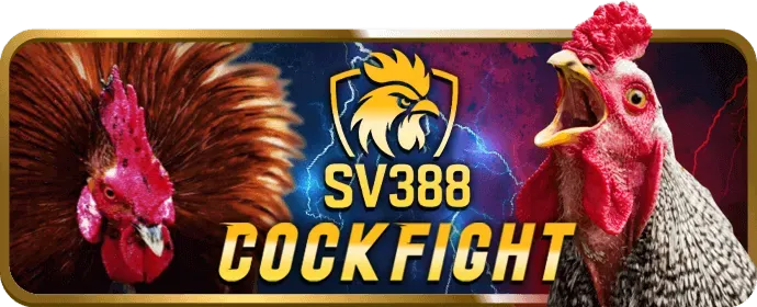 Hình ảnh minh họa cách Rik VIP sử dụng cookie để cải thiện trải nghiệm người dùng và bảo mật